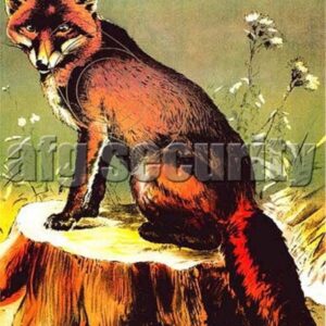 Norconia lovecký terč - líška